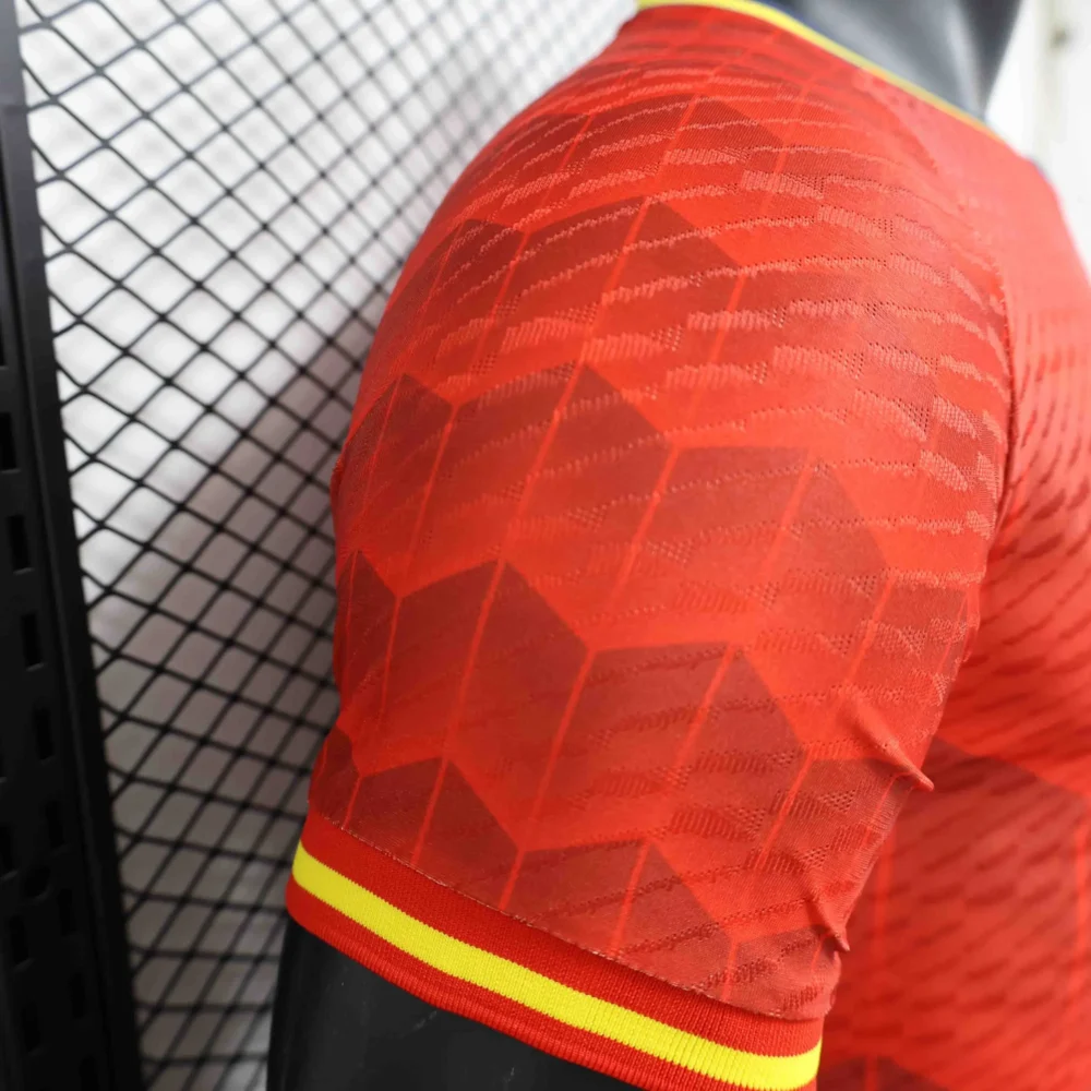Spain Authentic Soccer Jersey Special Edition Shirt 2024 - Image 5