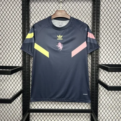 Juventus Soccer Jersey Pre-Match Custom Shirt 2024/25