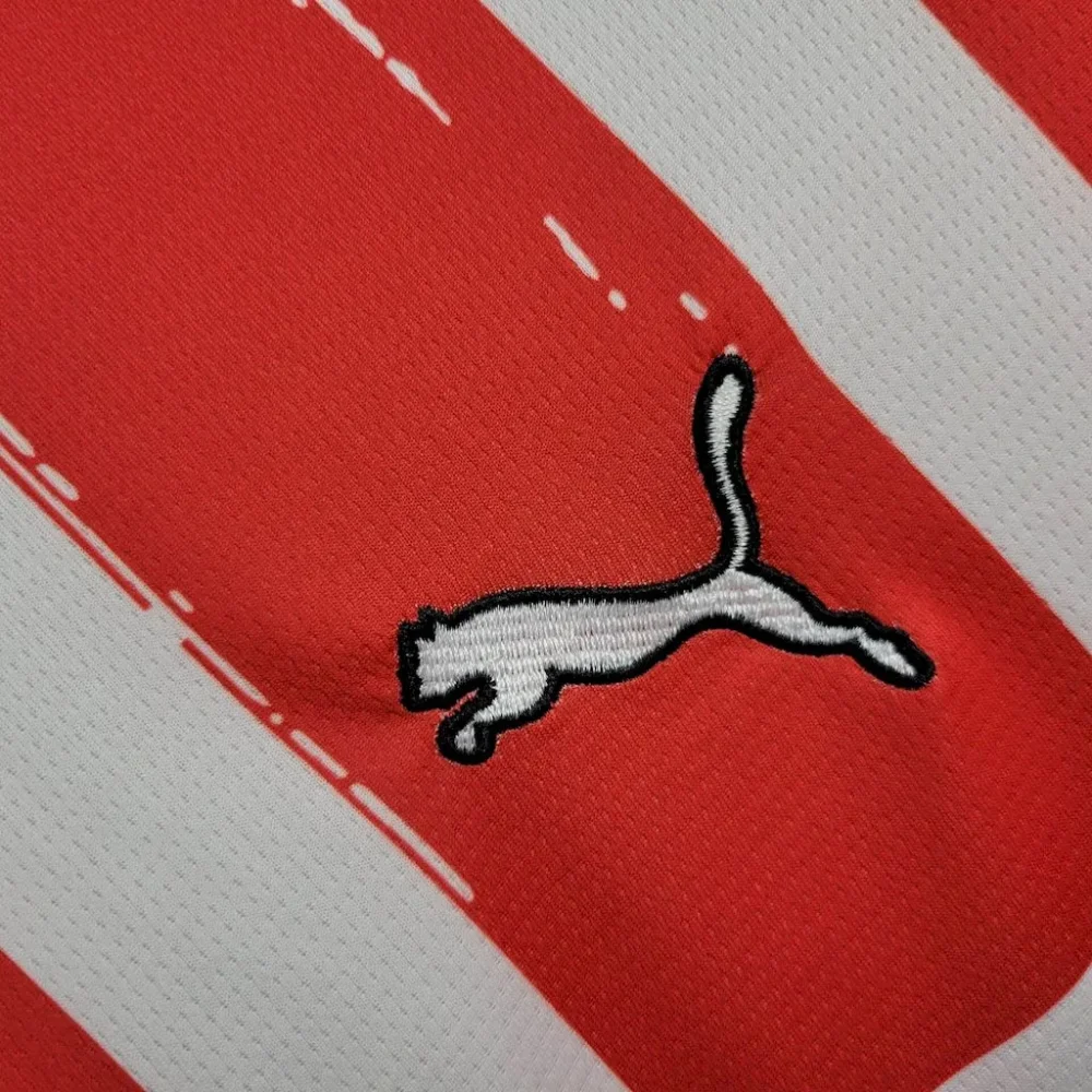 PSV Eindhoven Football Jersey Home Custom Shirt 2024/25 - Image 3