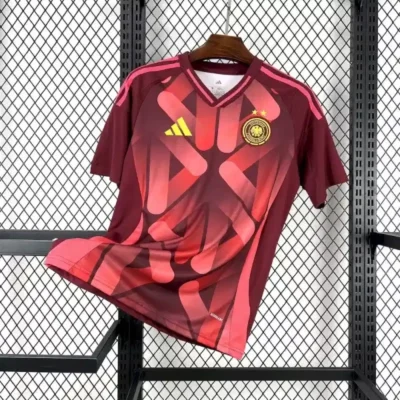Germany Football Jersey Away Custom Shirt 2025