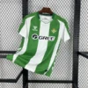 Real Betis Home Custom Soccer Jersey 2025/26